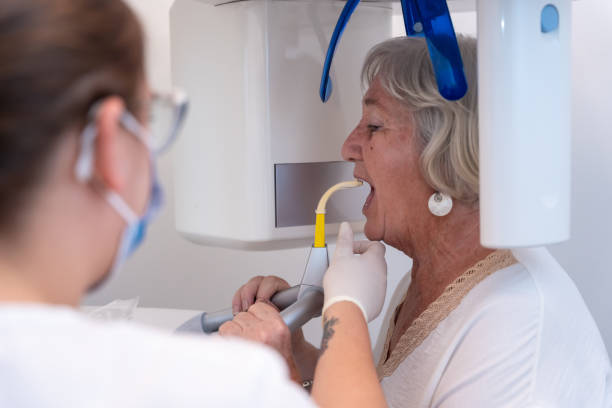 Best Holiday Emergency Dentist in Chinchilla, PA